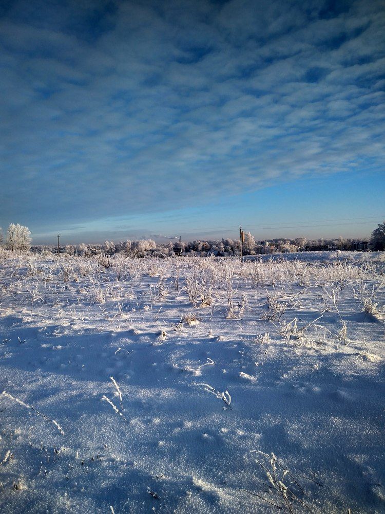 Фотография автора Алиса