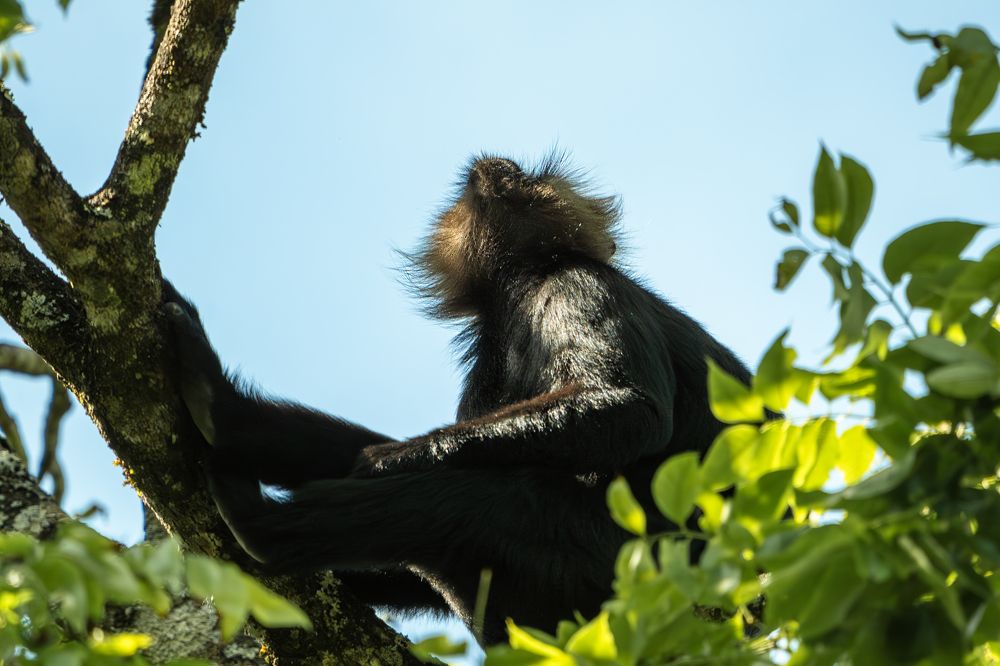 Photograph by Vineeth K