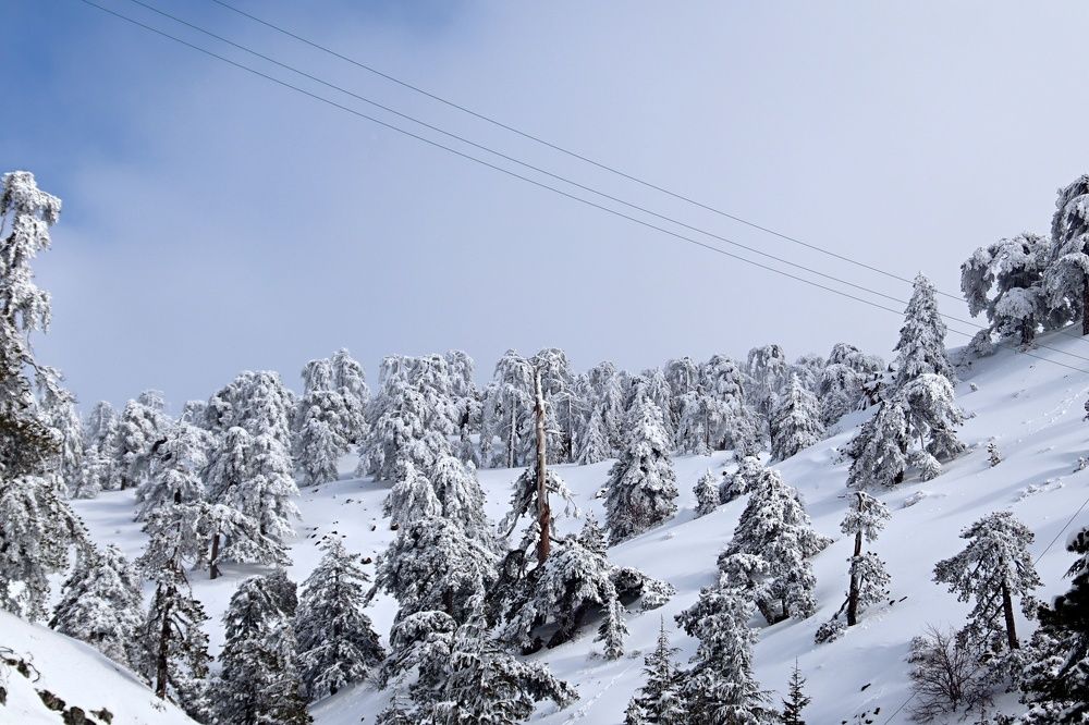 Photograph by Donka Vladimirova