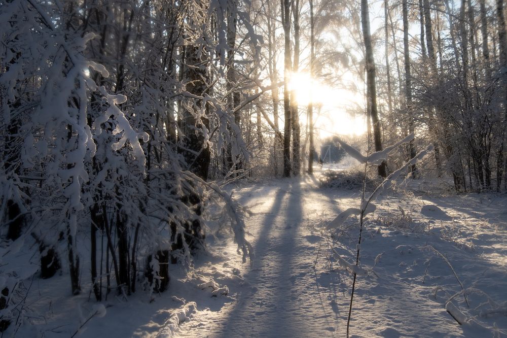 Photograph by Светлана