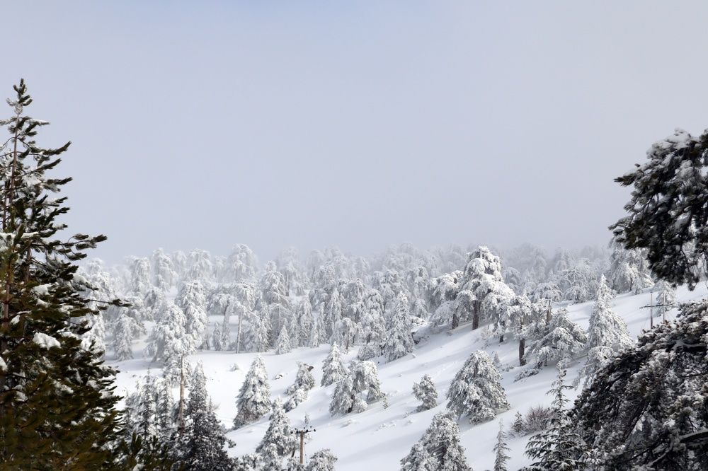 Photograph by Donka Vladimirova