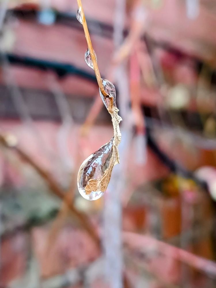 Photograph by Сидорова Ирина