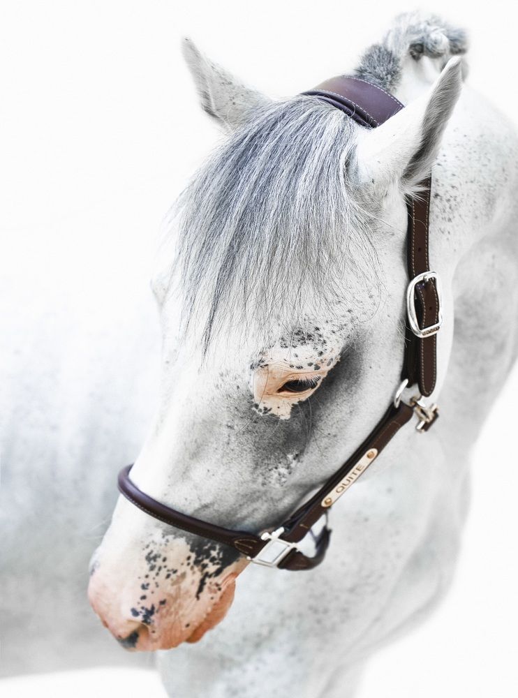 Photograph by Kristina Joanna Eruslanova