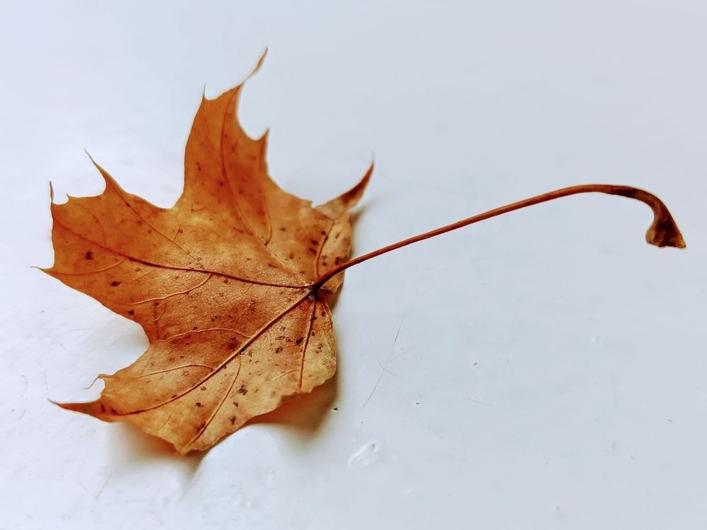 Photograph by Сидорова Ирина