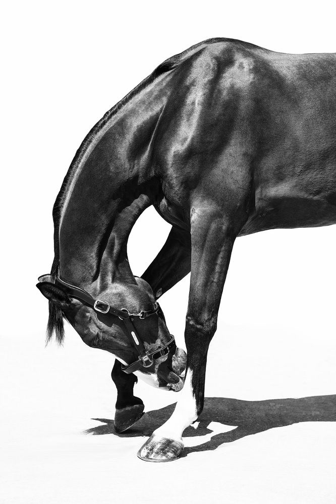 Photograph by Kristina Joanna Eruslanova