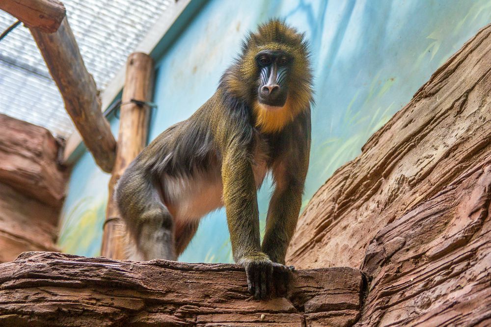 Photograph by Анатолий Чесноков