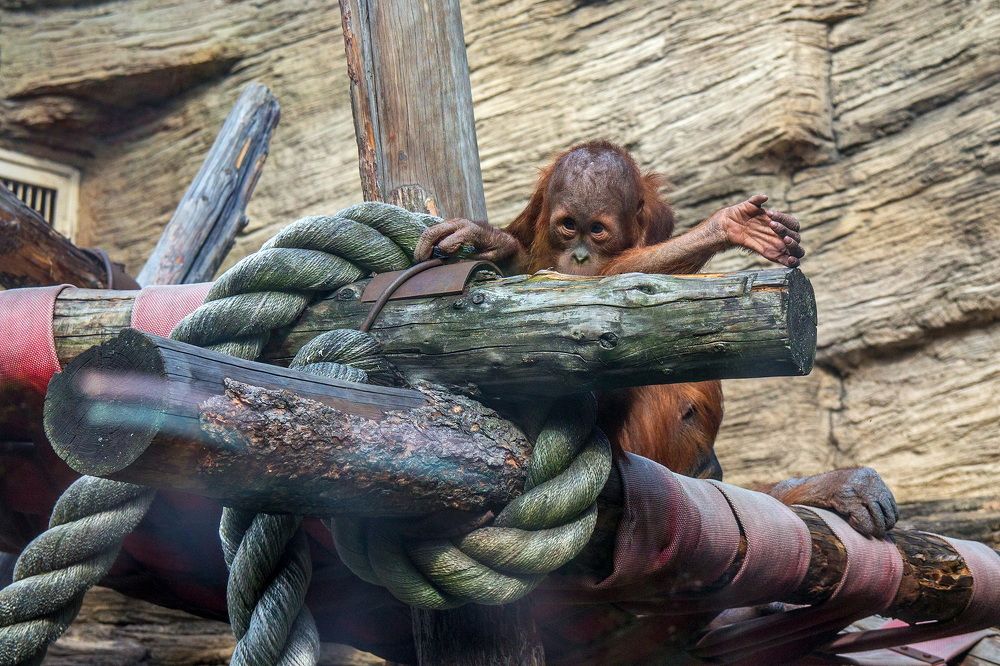 Photograph by Анатолий Чесноков