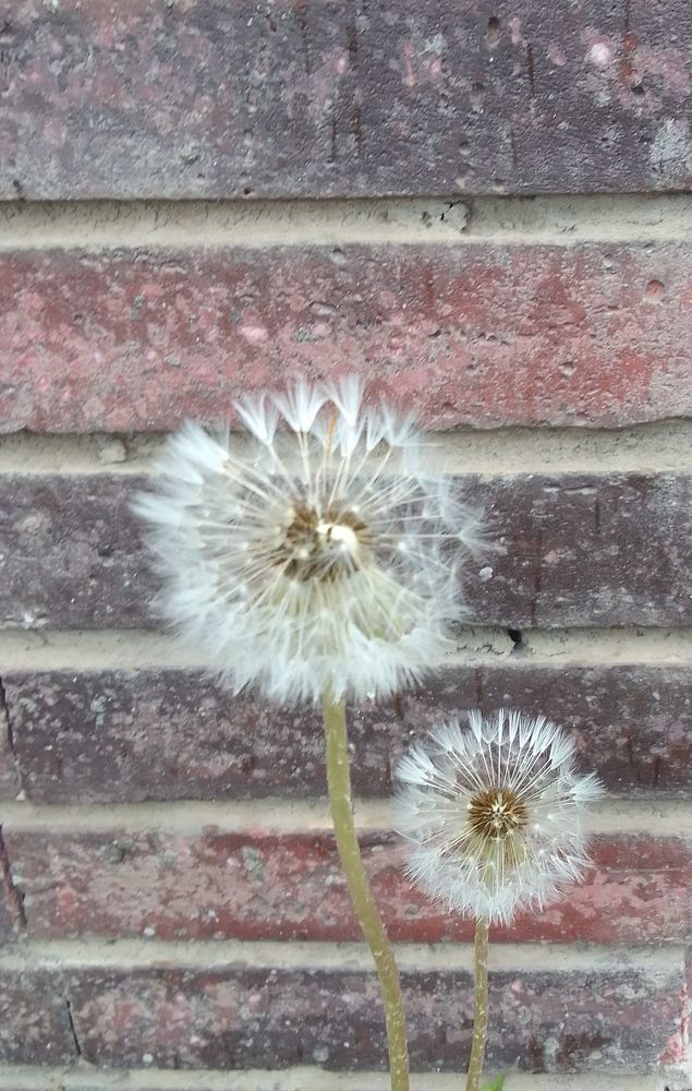 Photograph by Ирина