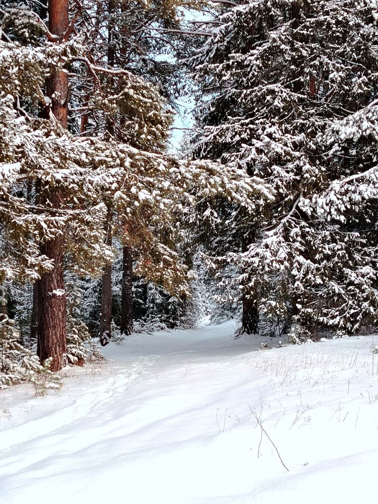 Photograph by Галина Карманова