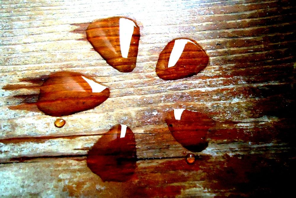 Photograph by Сергей Хвостовец