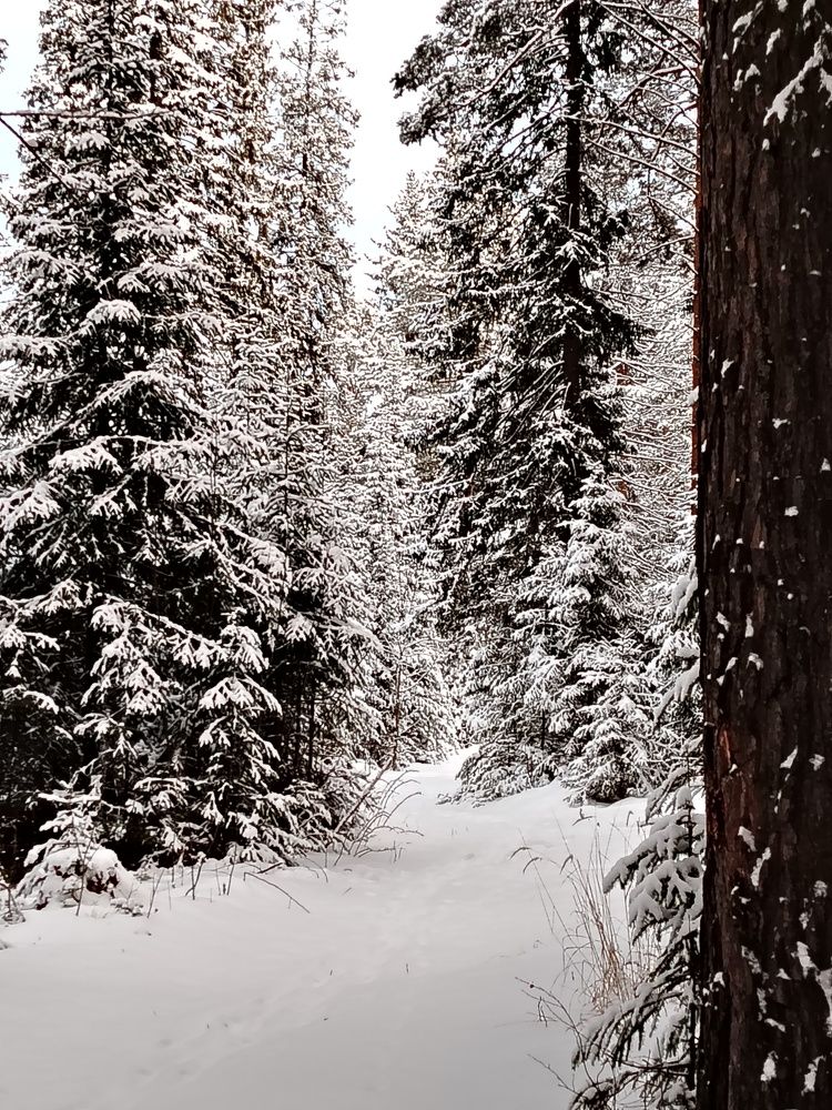 Photograph by Галина Карманова