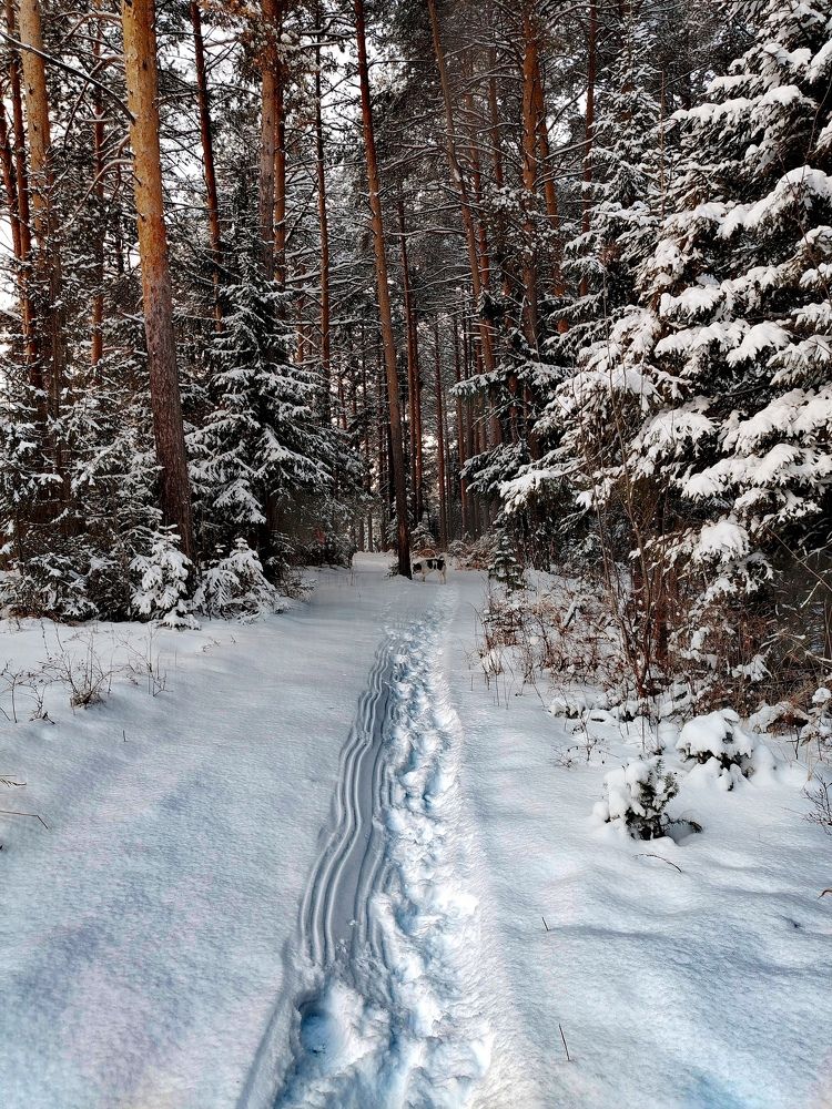 Photograph by Галина Карманова