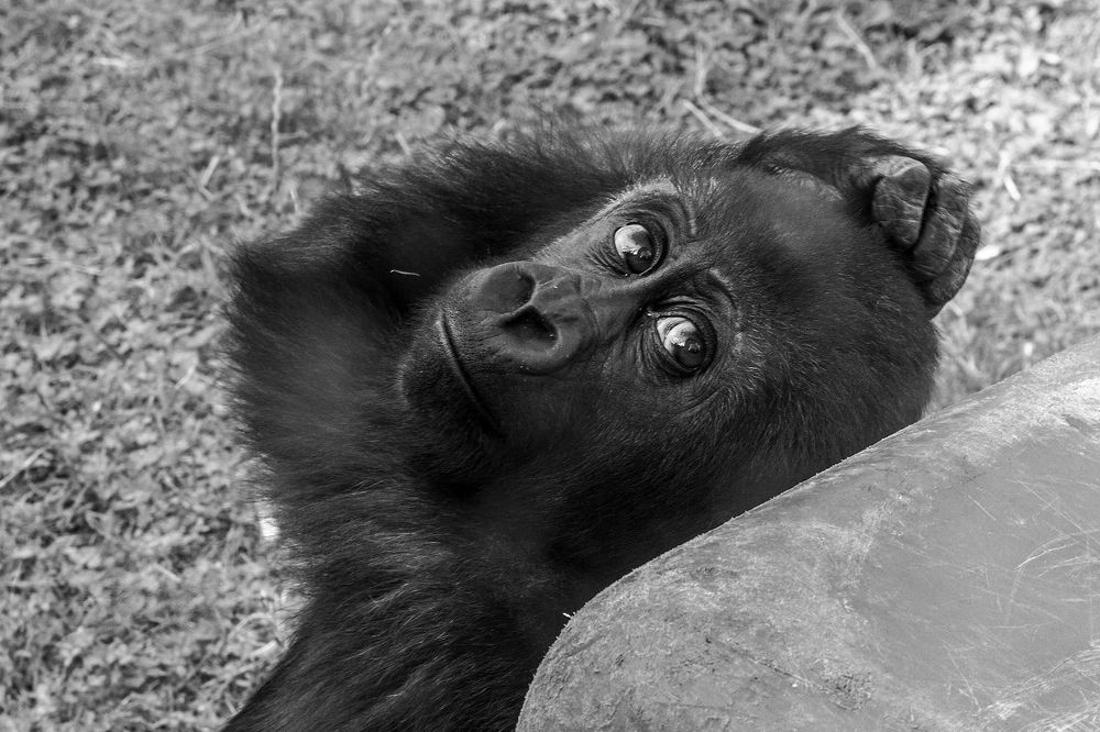 Photograph by Анатолий Чесноков