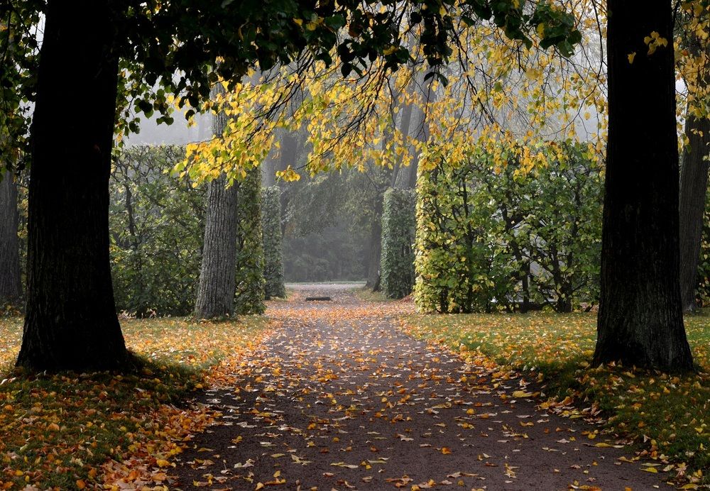 Photograph by Novikov Mikhail