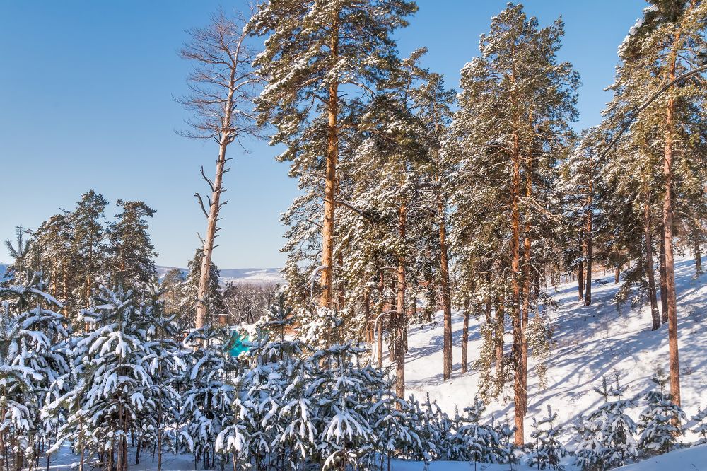 Фотография автора Дмитрий Бродовой