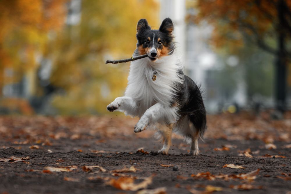 Photograph by Зубкова Юлия