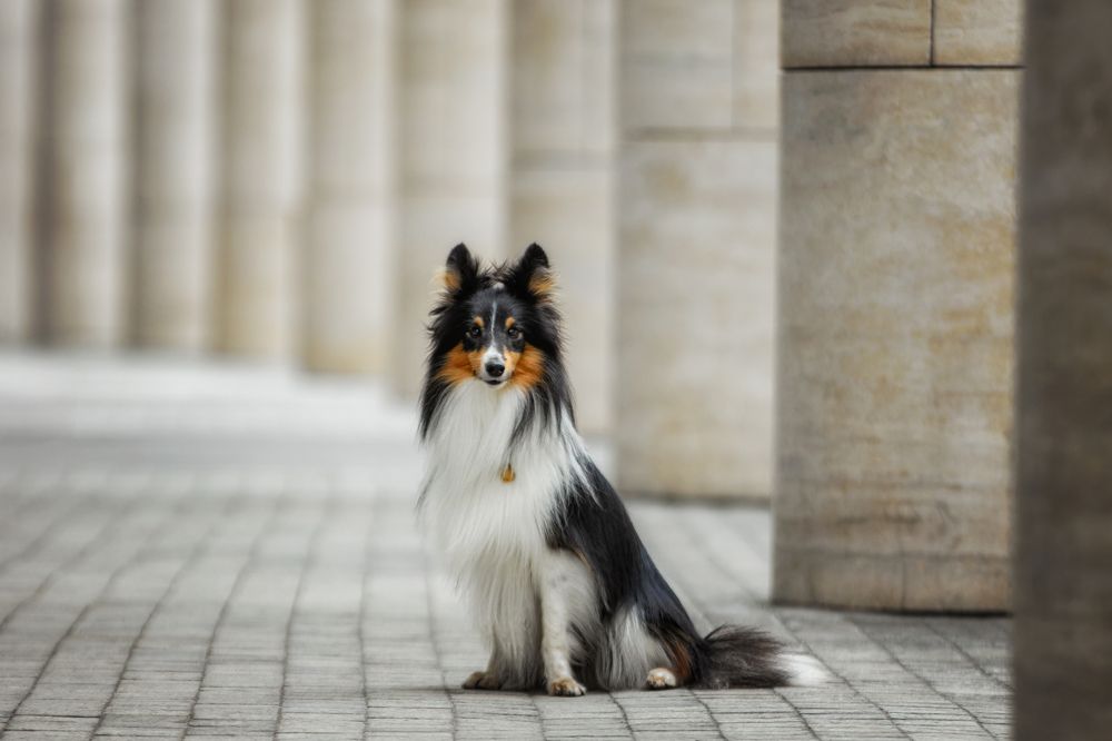 Photograph by Зубкова Юлия