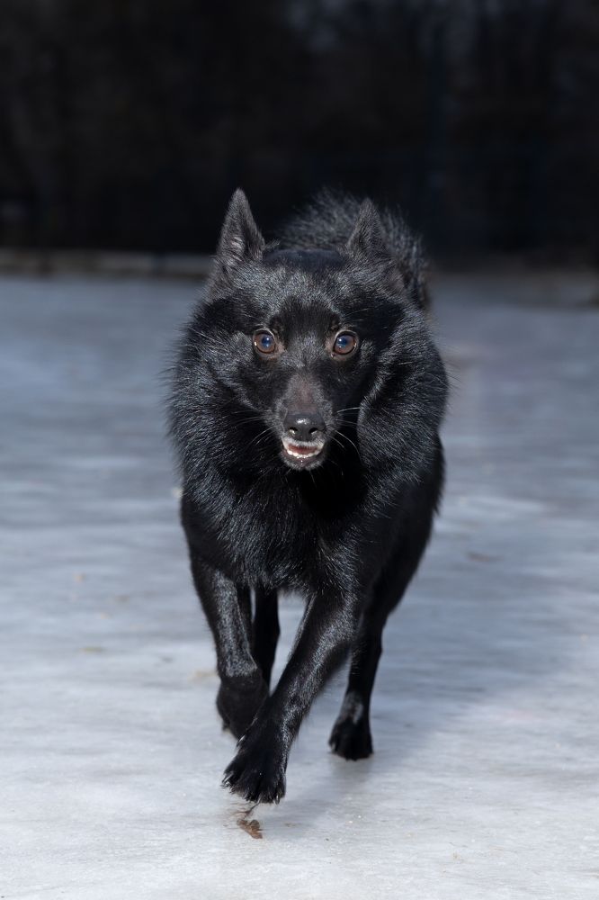 Photograph by Денис Есаков