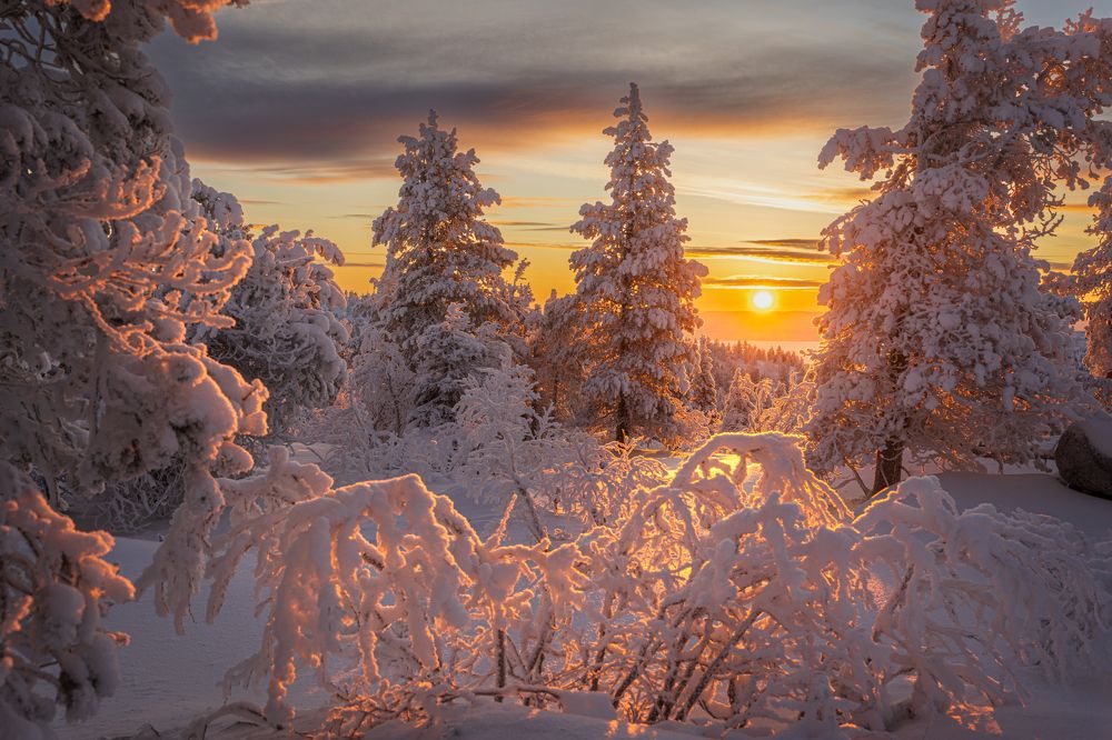 Зарисовки января