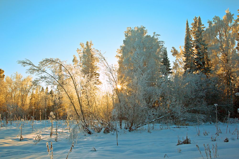 Photograph by Иван Буянов
