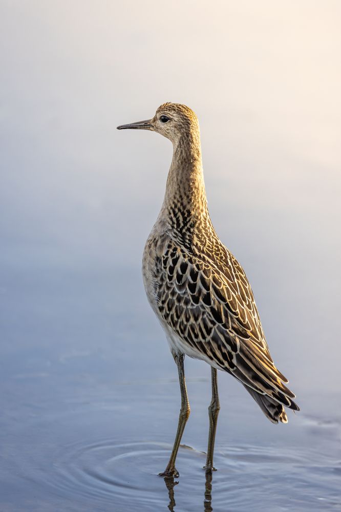 Photograph by Гукасян Геворк