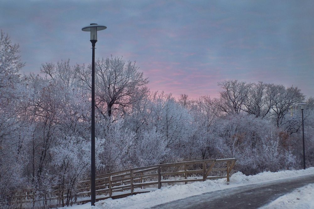 Photograph by Алла Никушкина