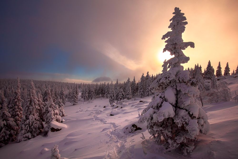 Photograph by Евдокимов Сергей