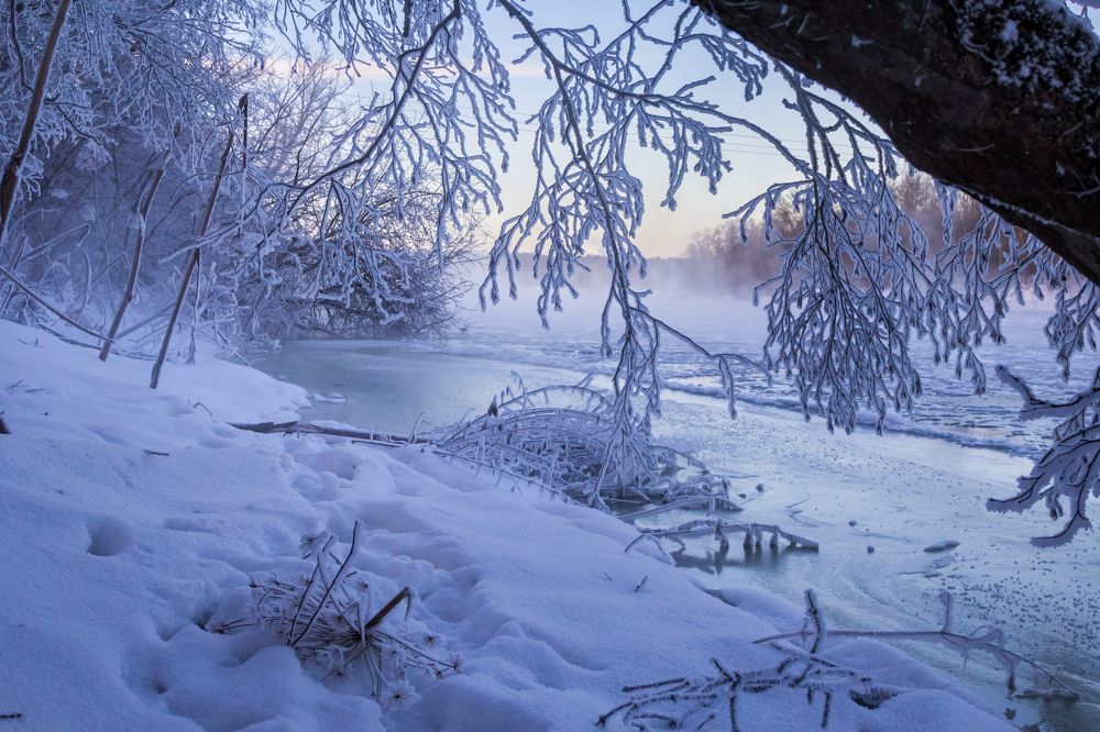 Photograph by Алексей Соколов