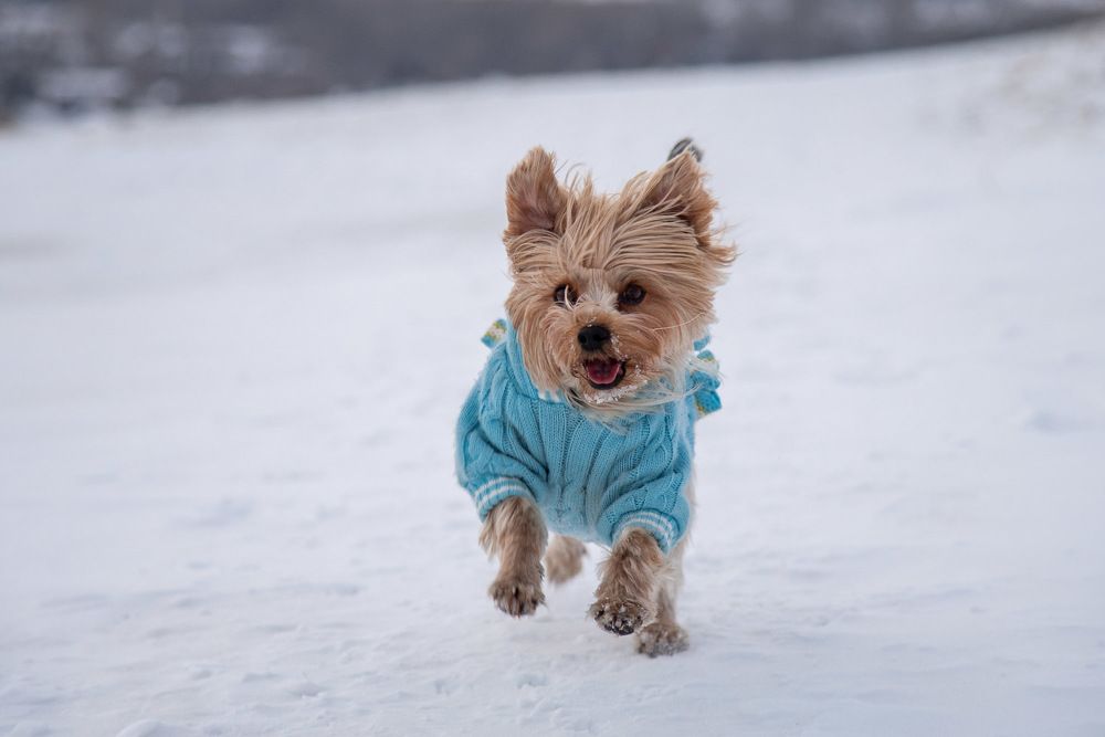 Photograph by Ирина Яук