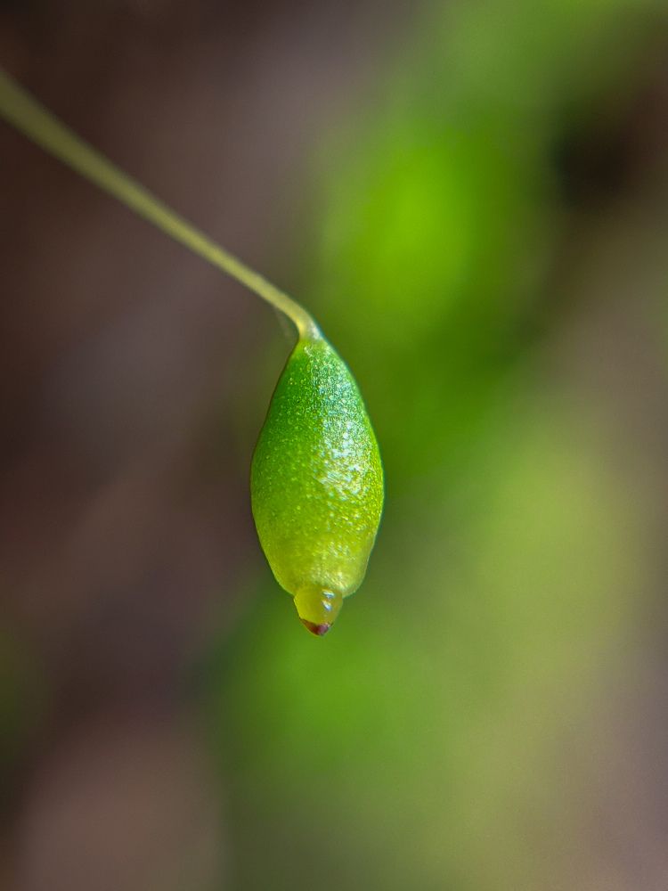 Photograph by Vijayakumar