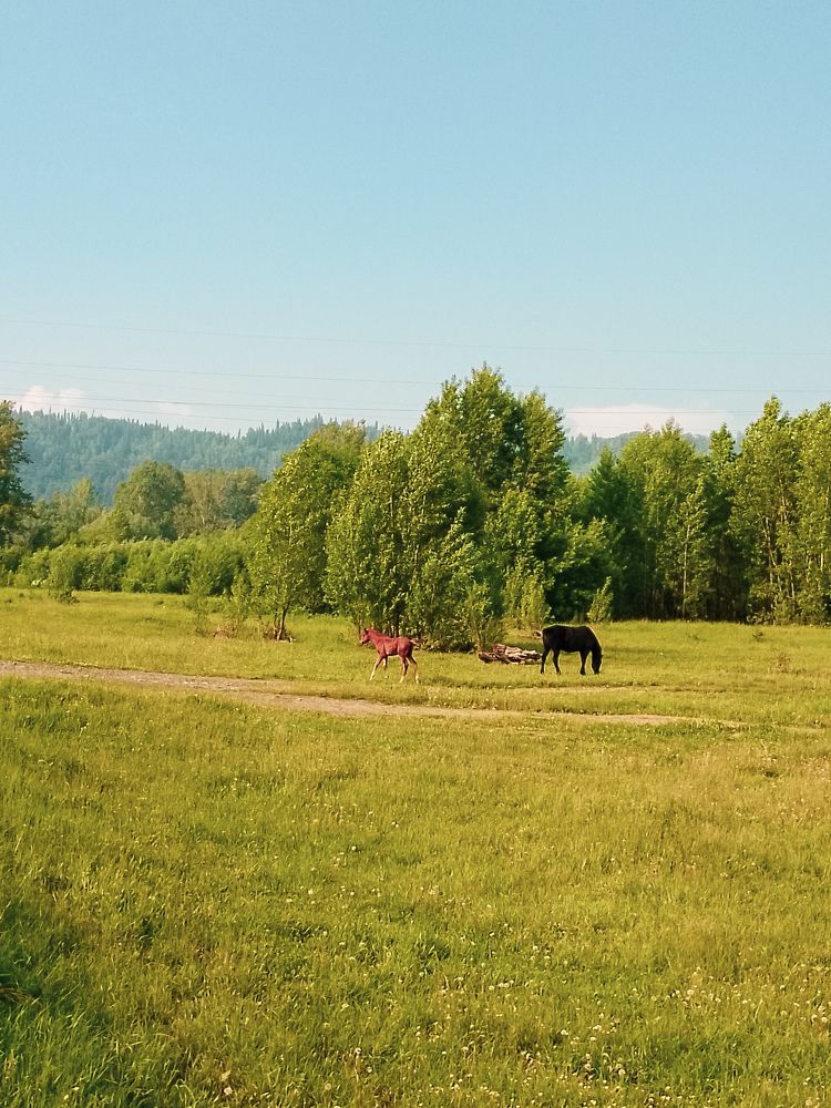 Photo #11710200