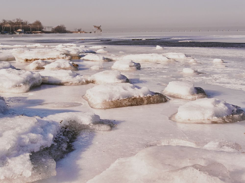 Фотография автора Оксана Мякотина