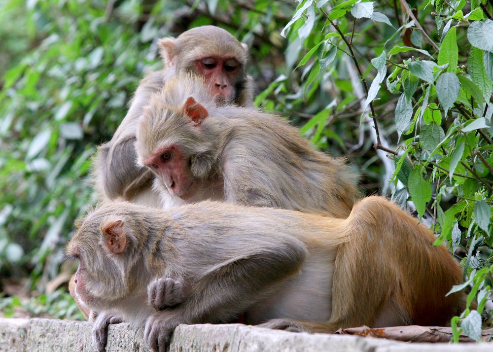 Photograph by Kozionov Pavel