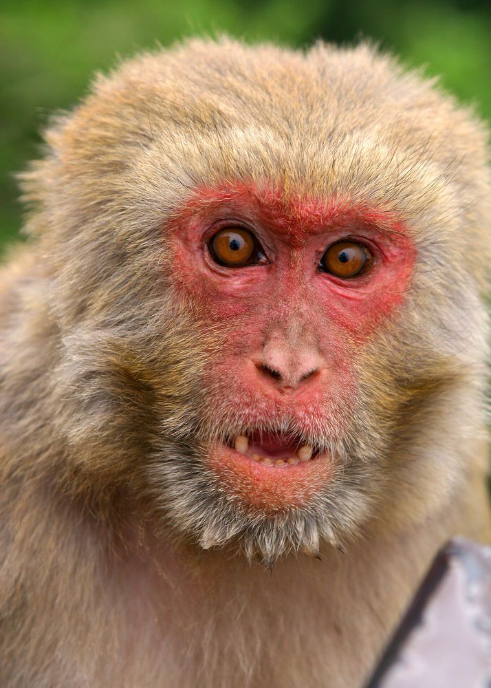 Photograph by Kozionov Pavel