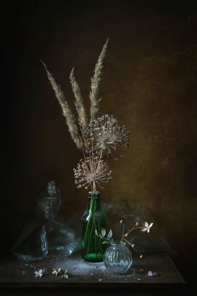 Photograph by Курочкина Диана