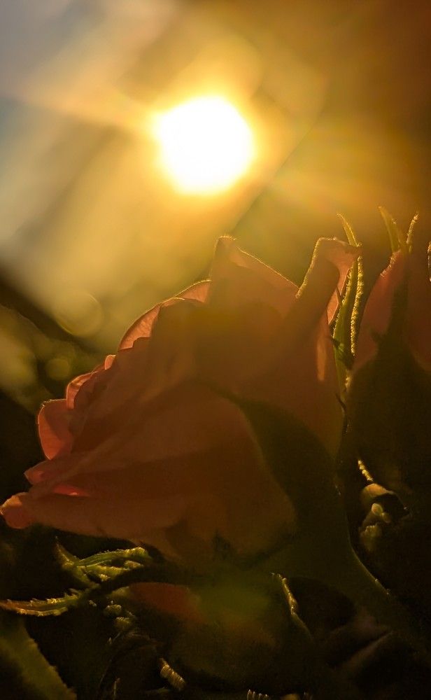 Photograph by Наталия Васина