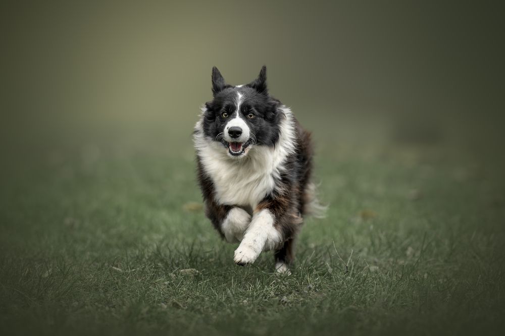 Photograph by Lucie Nermuťová