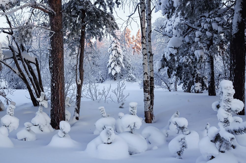 Photograph by Алексей Мякота