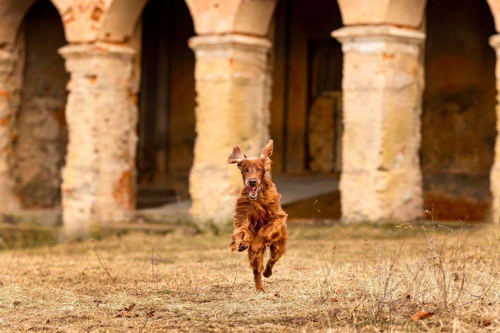 Photograph by Катерина Повидайко