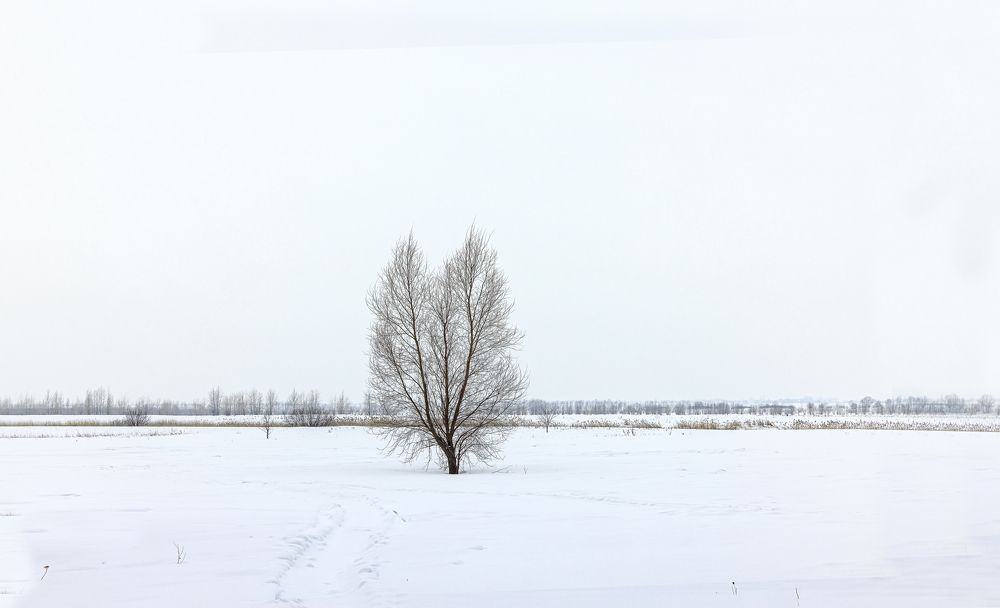 Photograph by Иван Логвинов