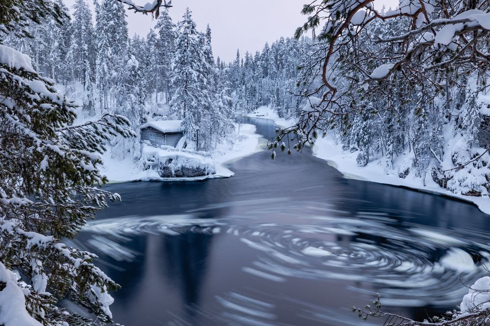 Photograph by Артём Бабенов