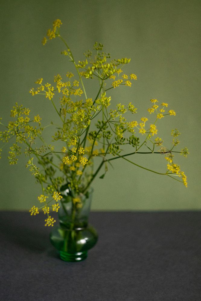 Photograph by Elena Kilina