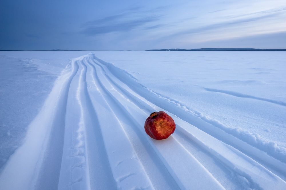 Фотография автора Андрей Ткаченко