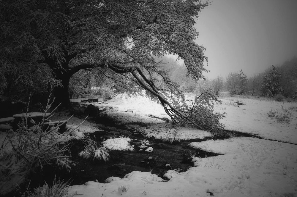 Фотография автора Юлияна Стоянова