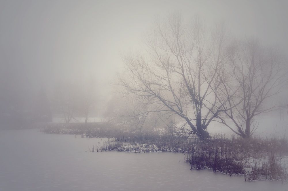 Фотография автора Юлияна Стоянова