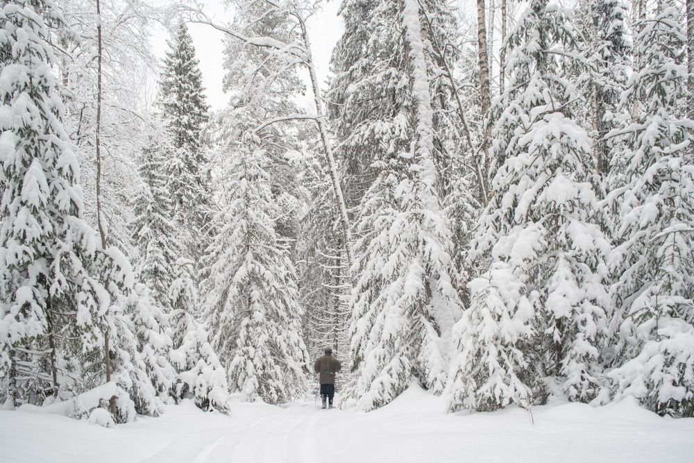 Photograph by Дмитрий Смирнов