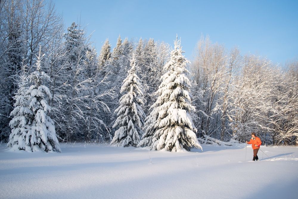 Photograph by Дмитрий Смирнов