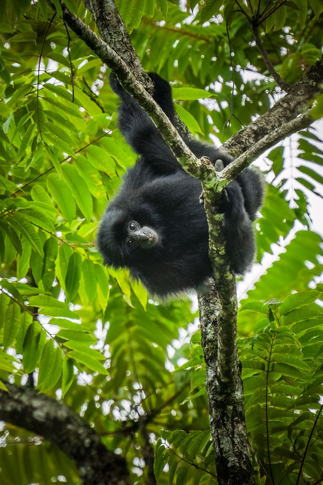 Photograph by Naveen Kumar