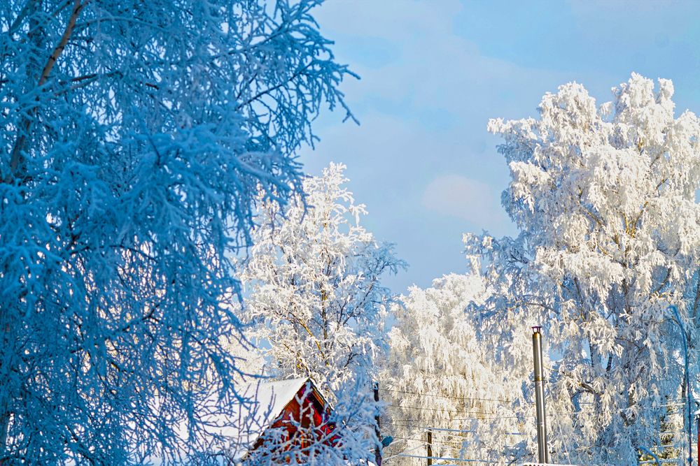 Photograph by Нина Шарипова