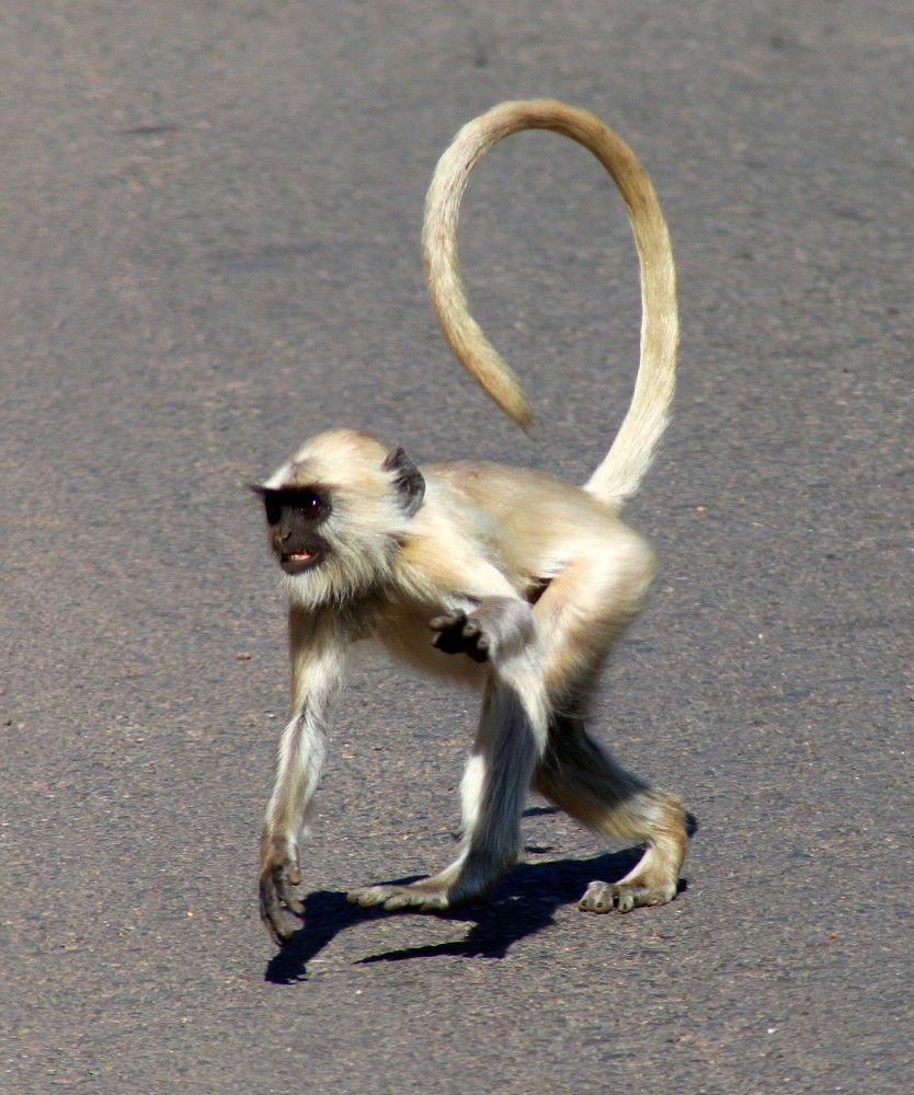 Photograph by PERESHEIN ANDREY